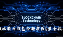 如何拍摄比特币钱包余额
