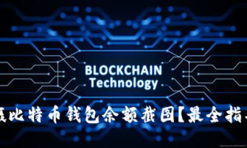 如何拍摄比特币钱包余额截图？最全指导与技巧
