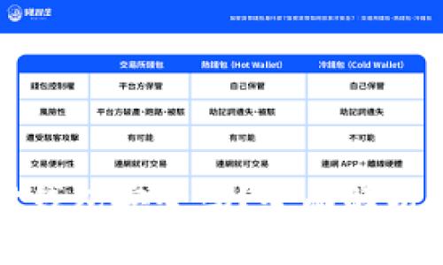 泰达币支付钱包安全吗？全面解析与使用技巧