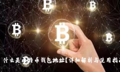 : 什么是比特币钱包地址？