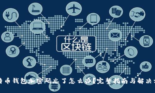比特币钱包加密码忘了怎么办？完整指南与解决方案
