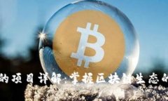 TP钱包中的项目详解：掌握
