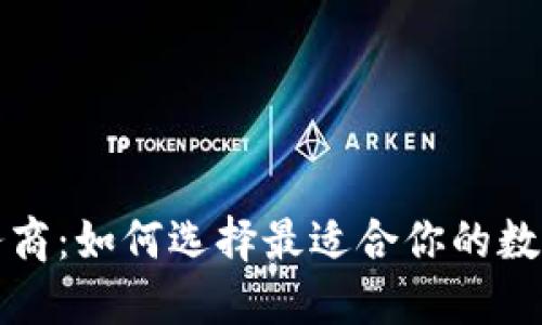 TP钱包服务商：如何选择最适合你的数字货币钱包