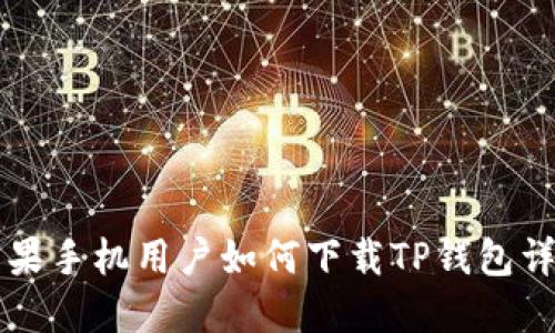 苹果手机用户如何下载TP钱包详解