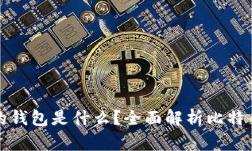 比特币最好的钱包是什么？全面解析比特币钱包的选择