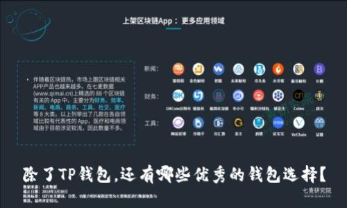 除了TP钱包，还有哪些优秀的钱包选择？