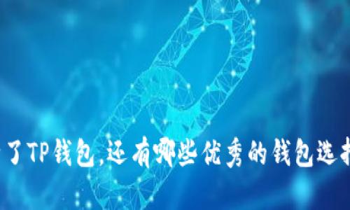 除了TP钱包，还有哪些优秀的钱包选择？
