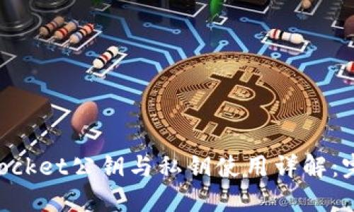 TokenPocket公钥与私钥使用详解：完全指南