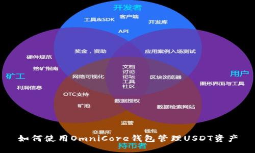 如何使用OmniCore钱包管理USDT资产