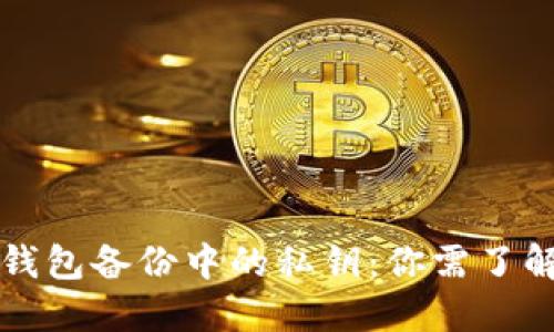 比特币钱包备份中的私钥：你需了解的一切