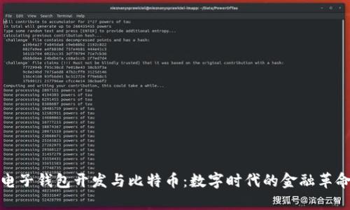 电子钱包开发与比特币：数字时代的金融革命