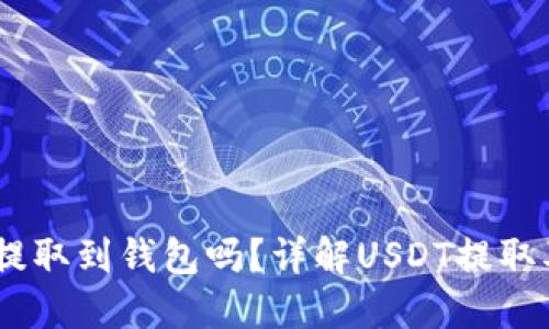USDT可以提取到钱包吗？详解USDT提取及操作指南