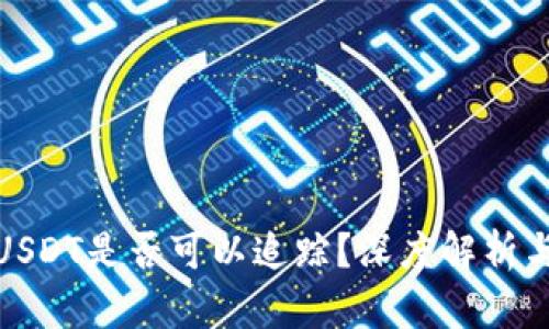 : 冷钱包USDT是否可以追踪？深度解析与实用指南