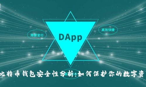  比特币钱包安全性分析：如何保护你的数字资产