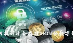 如何找到适合存储SHIB的数