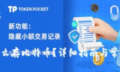 生成的内容BCB钱包怎么存