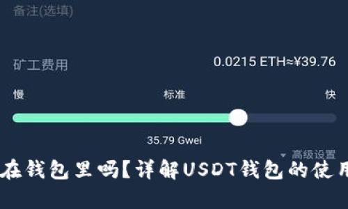 USDT能存在钱包里吗？详解USDT钱包的使用与安全性