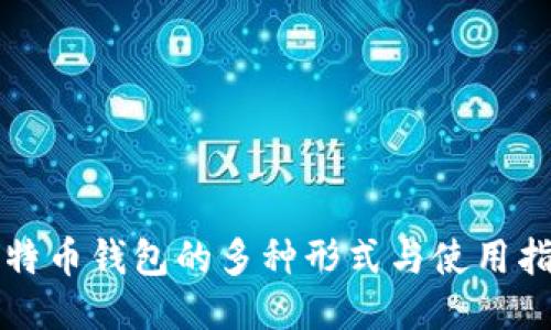 比特币钱包的多种形式与使用指南