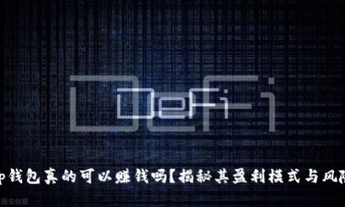 tp钱包真的可以赚钱吗？揭秘其盈利模式与风险