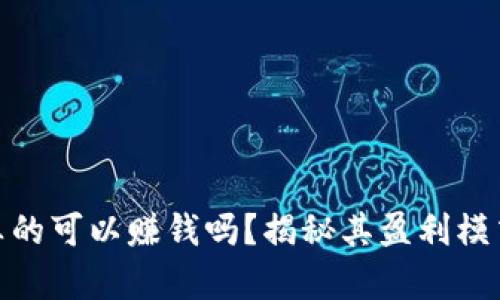 tp钱包真的可以赚钱吗？揭秘其盈利模式与风险