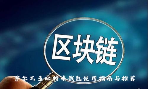 萨尔瓦多比特币钱包使用指南与推荐