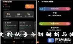 TP钱包支持的多条链解析与