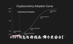 USDT钱包选择指南：哪个更