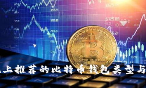 苹果系统上推荐的比特币钱包类型与选择指南