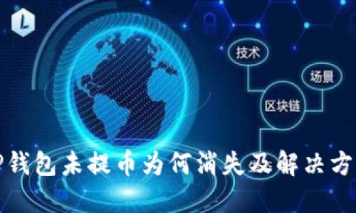 TP钱包未提币为何消失及解决方法