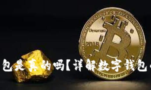 TokenPocket钱包是真的吗？详解数字钱包的安全性与功能