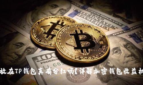 币放在TP钱包真有分红吗？详解加密钱包收益机制