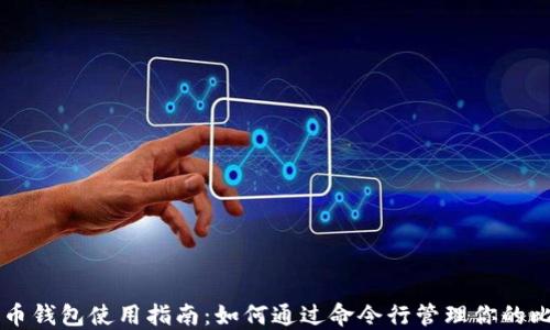 
比特币钱包使用指南：如何通过命令行管理你的比特币