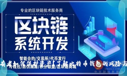 比特币持有者如何保护资产？了解比特币钱包的风险与安全措施