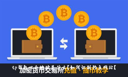 tp钱包口令地址是什么？如何识别钓鱼网站？