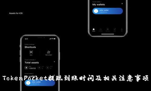 TokenPocket提现到账时间及相关注意事项