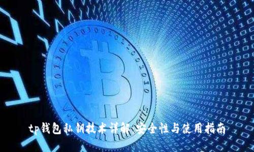 tp钱包私钥技术详解：安全性与使用指南