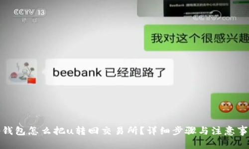 tp钱包怎么把u转回交易所？详细步骤与注意事项