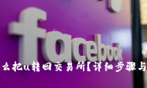 tp钱包怎么把u转回交易所？详细步骤与注意事项