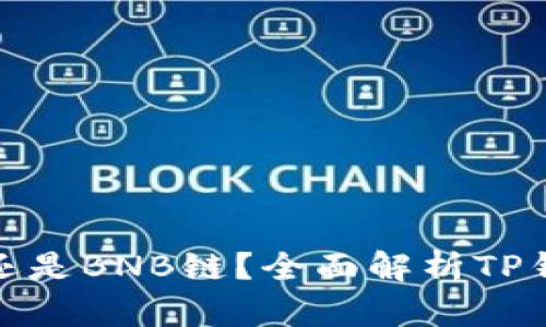 TP钱包是智能链还是BNB链？全面解析TP钱包的功能与特性