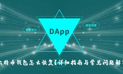 比特币钱包怎么恢复？详细指南与常见问题解答