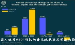美国人使用USDT钱包的普及