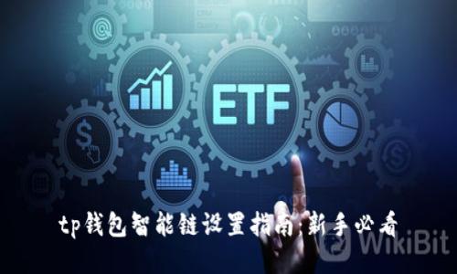 tp钱包智能链设置指南：新手必看