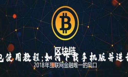 泰达币钱包使用教程：如何下载手机版并进行安全管理