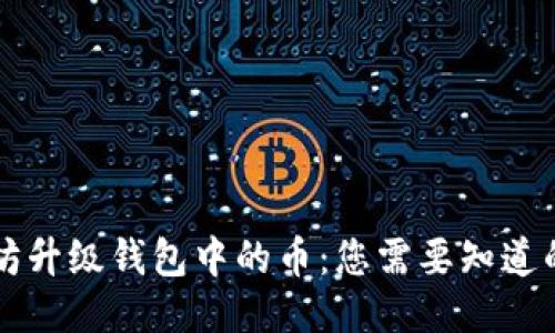 以太坊升级钱包中的币：您需要知道的一切