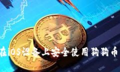 如何在iOS设备上安全使用