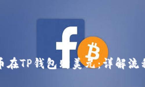 如何用人民币在TP钱包购美元：详解流程与注意事项