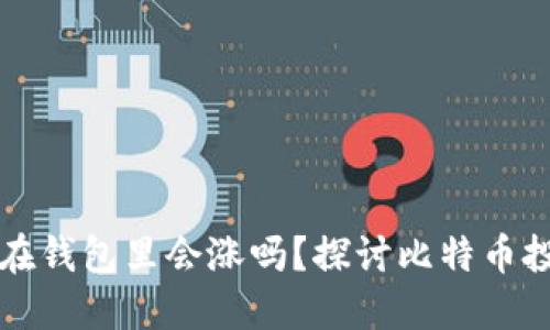 比特币放在钱包里会涨吗？探讨比特币投资的未来