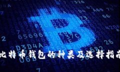 比特币钱包的种类及选择