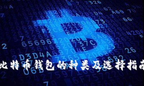 比特币钱包的种类及选择指南