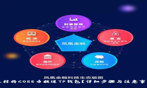 怎样将CORE币提进TP钱包？详细步骤与注意事项